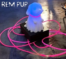 REM PUP! Paranormal hunting
