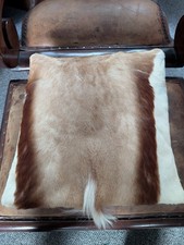 Springbok Hide Cushion Cover