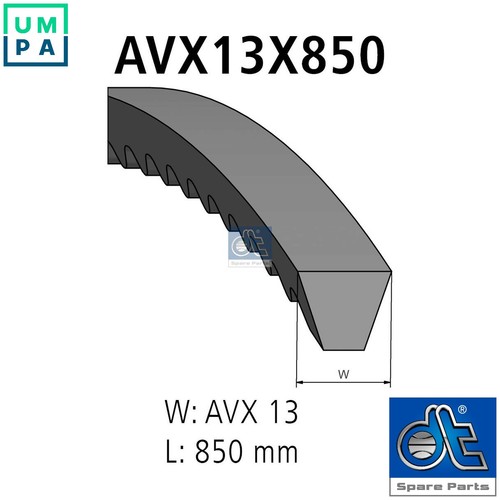Vbelt 34503 for - vbelt, romeo