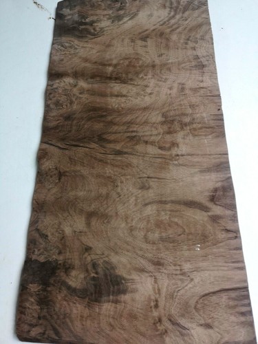 Burr walnut veneer dashboard - ,