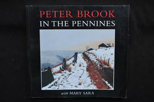 Peter brook the pennines - brook,