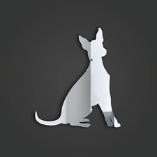 Xolo (Mexican Hairless) Style 3 Silver Acrylic Mirror