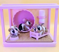 Super Cute 3 Guinea Pigs &