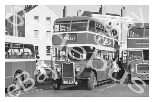 Bus photograph red white - photograph,