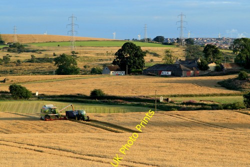 Photo harvest time at - a3,