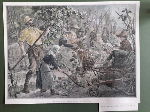 Hop picking kent - in, antique