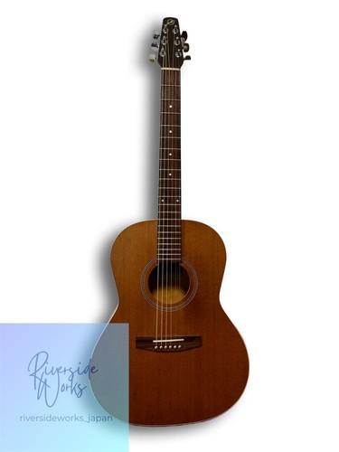 Seagull folk acoustic - s6,