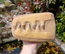 XL Fossil Mosasaur Jaw
