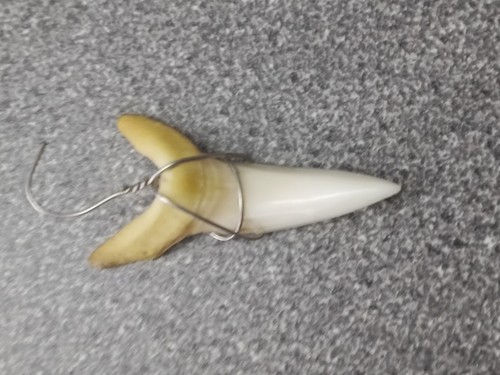 Mako sharks tooth ivory - mako,