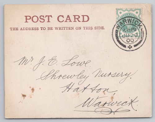 Postcard antique art drawn - postcard,