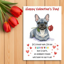French Bulldog blue Dog