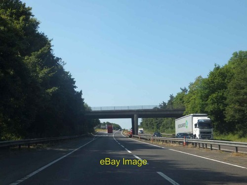 Photo 6x4 birchwood - photo,