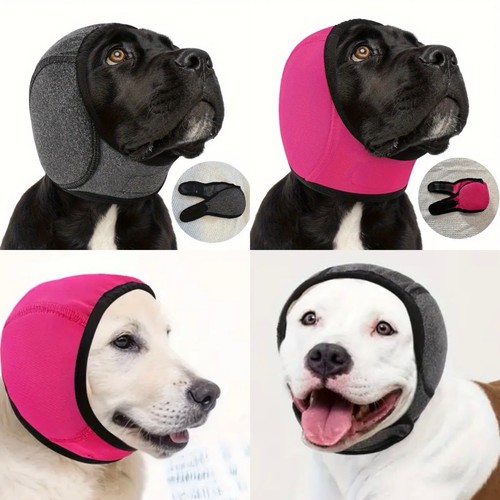 Noise canceling pet dog - pet,