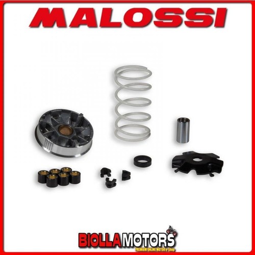 517484 variator malossi - malossi, sym