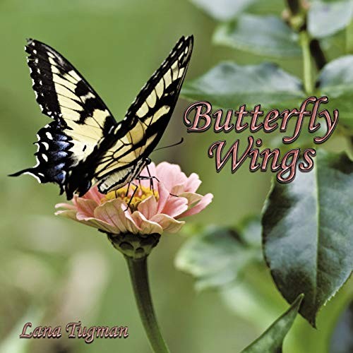 Butterfly wings by - wings,