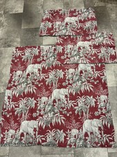 Elephant palm trees king - palm,