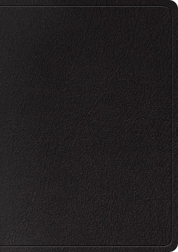 Esv large print - esv, wide