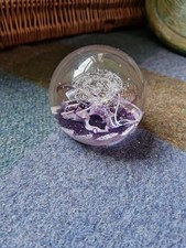 Selkirk Glass Paperweight