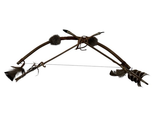 Decorative native - decorative,