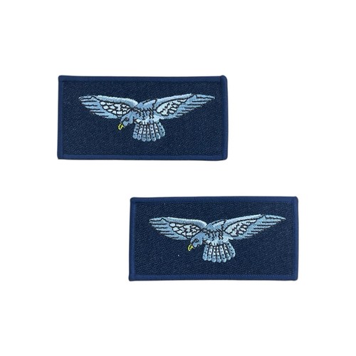 Royal air force raf eagle - x2,