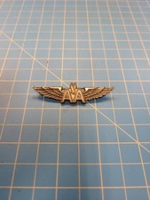 AA American Airlines Pilot