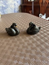 Dartmouth 2 Black Swan Mini