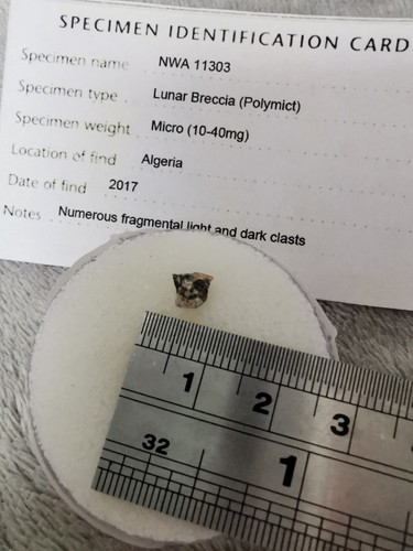 Lunar breccia - breccia, (polymict)