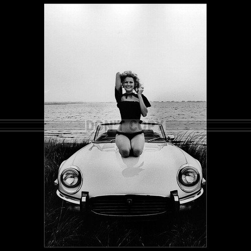 Photo 012144 jaguar type - a.012144,