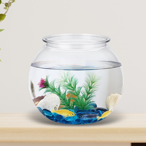 Transparent small tank bowl - tank,,
