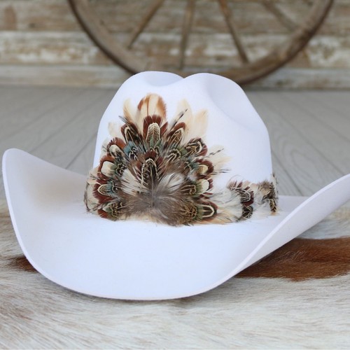 Feather hat band for western - hat,
