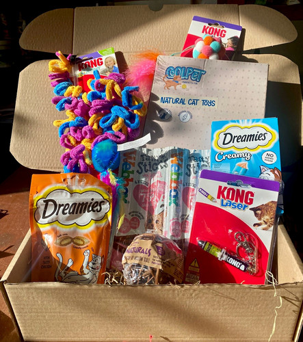 Interactive cat toy bundle - cat,