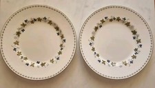 Susie Copper Wedgewood Dinner