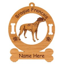 Braque Francais Standing