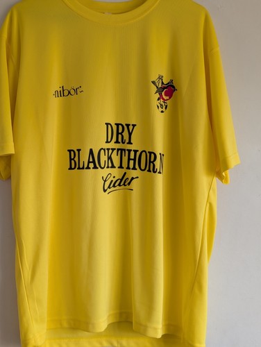 Bristol city inspired - city,