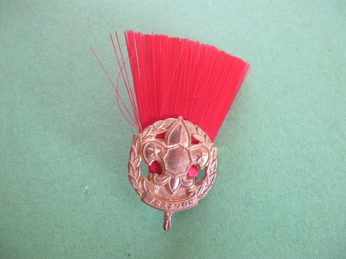 Boy scouts red - plume, badge