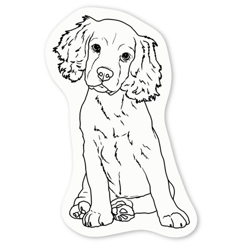 Cocker spaniel puppy white - spaniel,