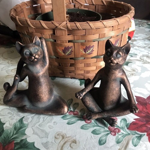 Yoga cats lotus meditation - lotus,