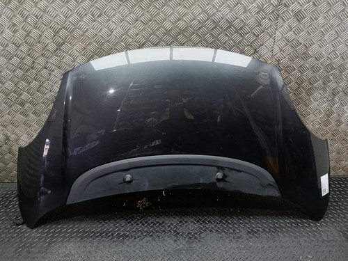 Fiat 500l bonnet - hood, grigio