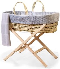 Clair de Lune Marshmallow Palm