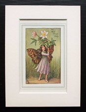 Wind Flower Flower Fairy - Mounted Original 1930s Cicely Mary Barker Print