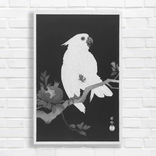 Elegant cockatoo tropical - elegant,