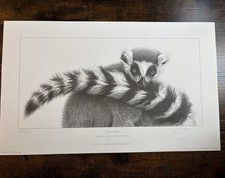 Gary Hodges "Demure Lemur"