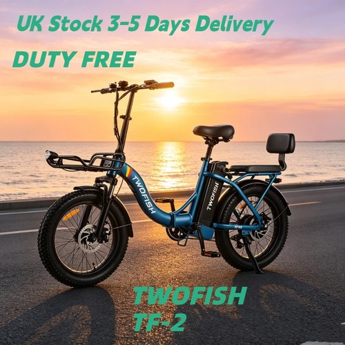 36v17 8ah fat tyre ebike7 - tyre,