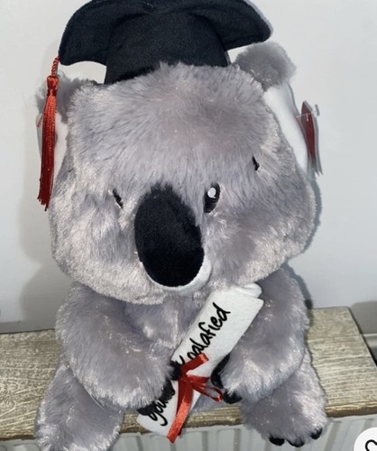 Clinton graduation koala - clinton’s,