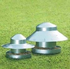 Hen chicken poultry feeder - hen,
