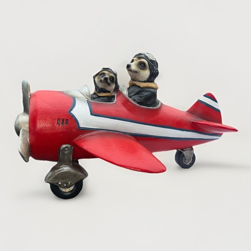 Hotant meerkat pilots and - pilots,