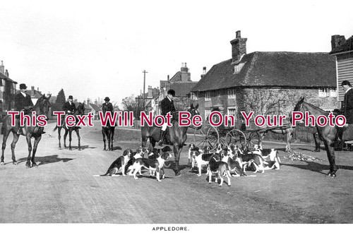 3697 appledore fox hunt - 3697,