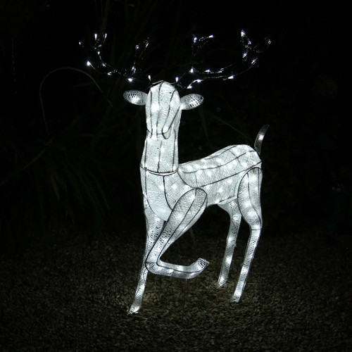 Outdoor reindeer christmas - reindeer,