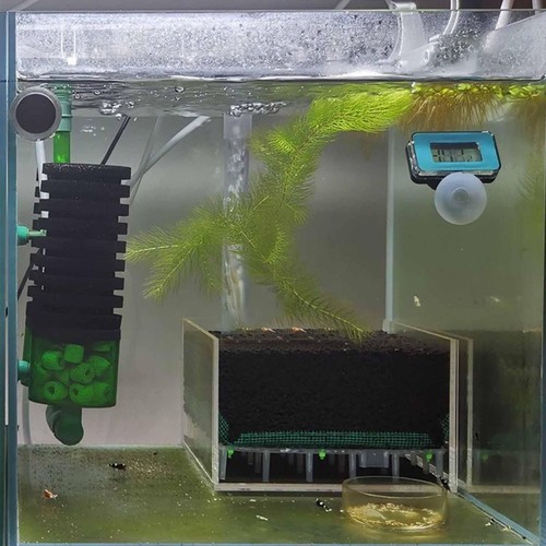Acrylic undergravel filter box - undergravel,