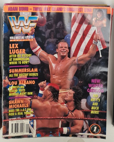 Wwf magazine november 1993 - magazine,